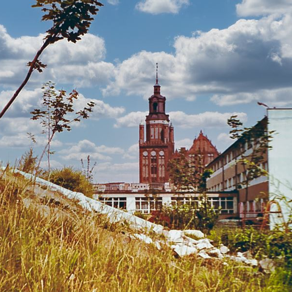 Marienkirche, Stargard,